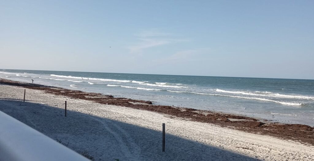 A calm beach path along the water, symbolizing moms walking the slower road. 