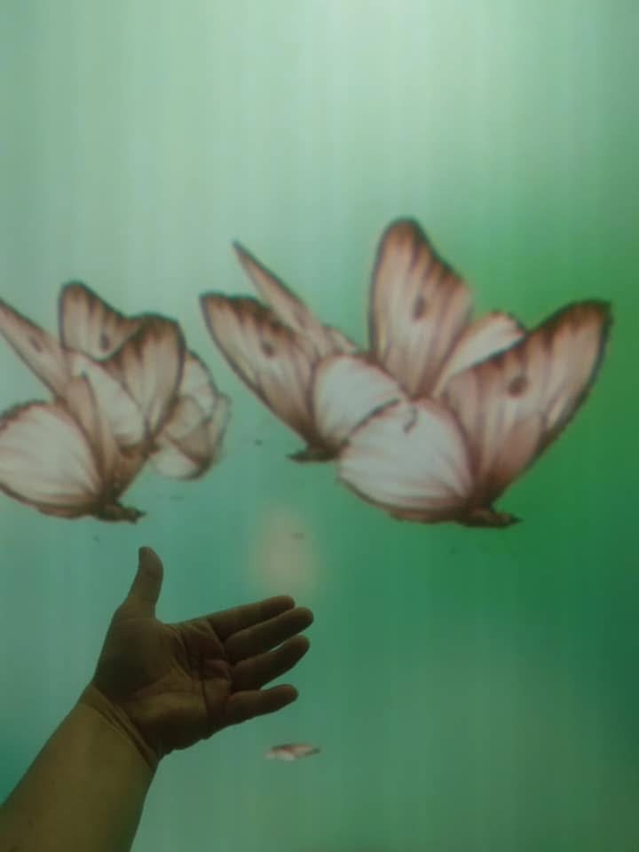 Releasing butterflies, symbolizing trust and surrender 